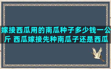 嫁接西瓜用的南瓜种子多少钱一公斤 西瓜嫁接先种南瓜子还是西瓜子